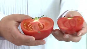 Cum să îți dai seama care sunt legumele și fructele tratate cu chimicale. Demonstrație VIDEO a unui specialist